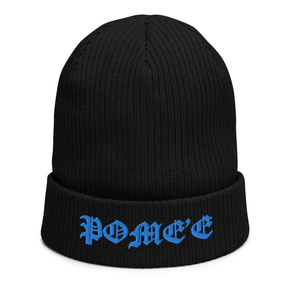 Signature ribbed beanie