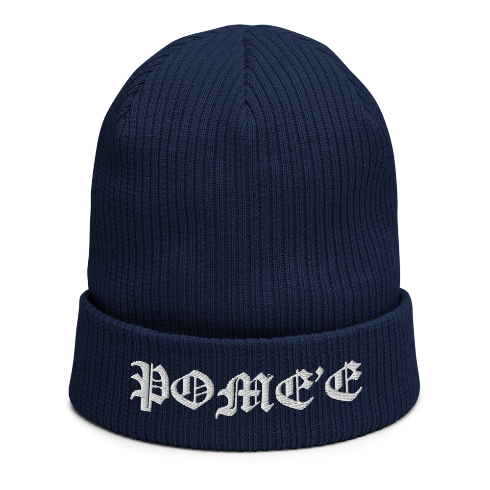 Signature organic blue beanie