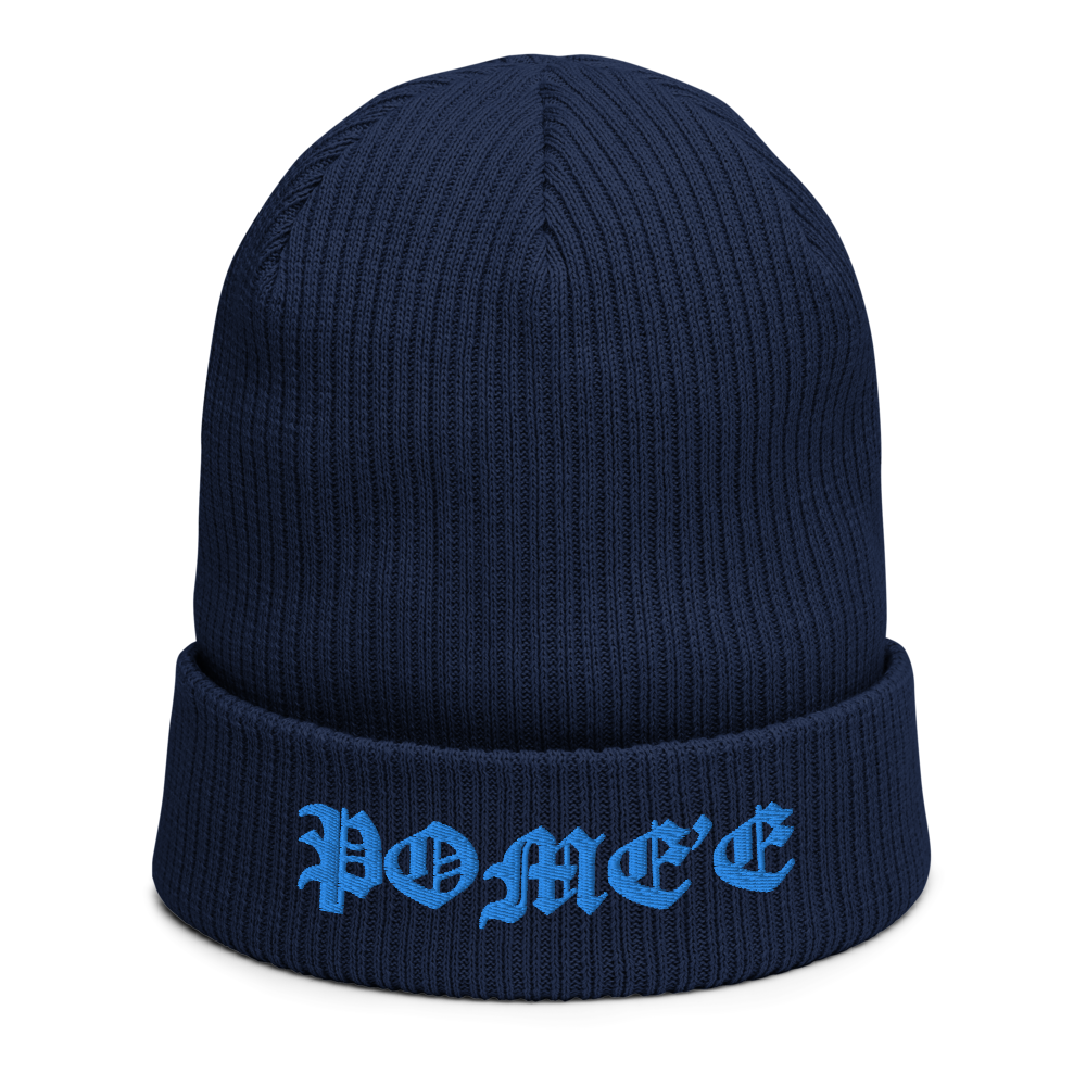 Signature ribbed beanie