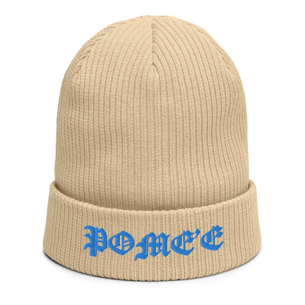 Signature ribbed beanie